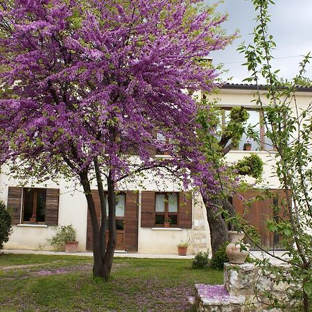 B&B Alte Paderno del Grappa Exterior foto